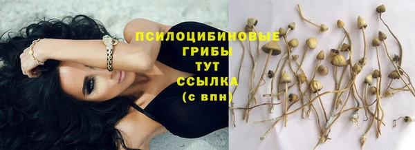 прущие крисы Абдулино