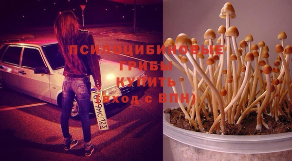 прущие крисы Абдулино