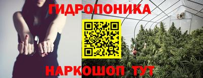 трава Ачхой-Мартан