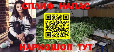 трава Ачхой-Мартан