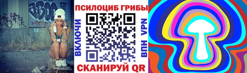 Галлюциногенные грибы GOLDEN TEACHER  где можно купить   darknet какой сайт  Барнаул 