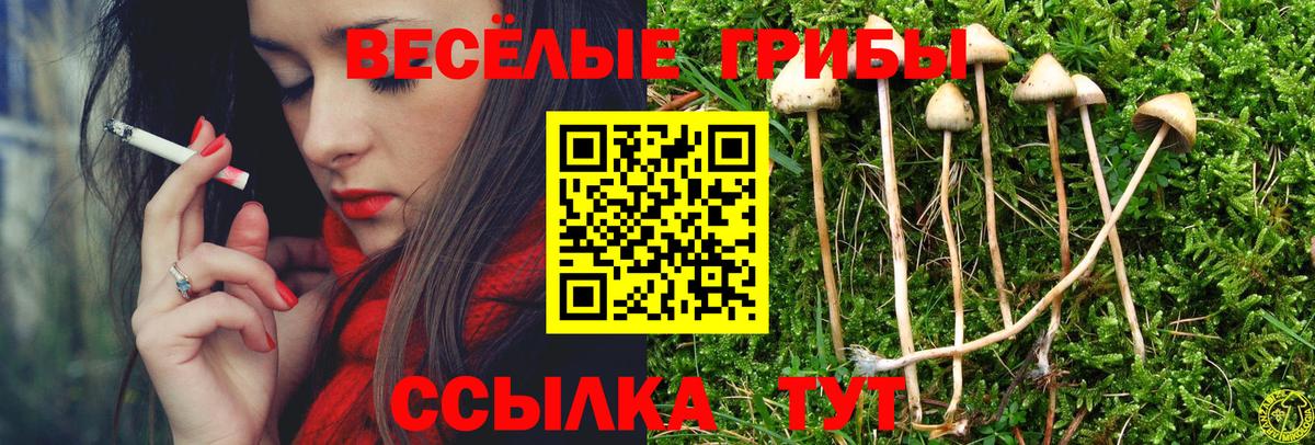 Барнаул  Галлюциногенные грибы мухоморы  Вход с VPN 