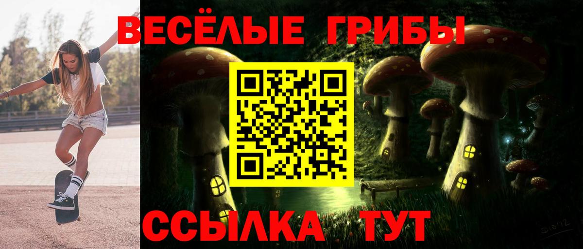 Псилоцибиновые грибы Cubensis Барнаул